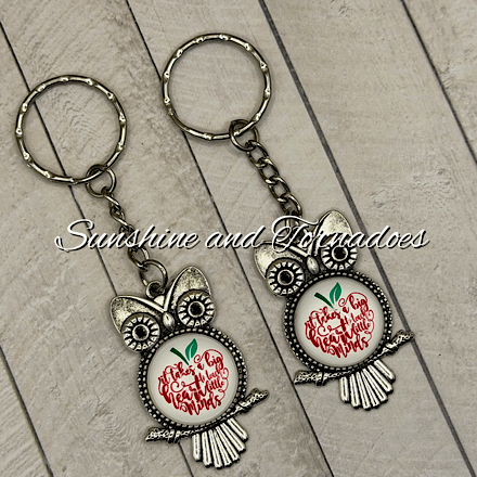 Handmade Teacher Owl Keyring | Glass Cabochon Teacher Gift | Thank You Teacher Keychain | Teaching Assistant Gift | End of Term Gift | Classroom Gift - Image 7