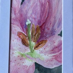 Original Pink Lily Watercolour Painting with Mount, Miniature 7” x 5”