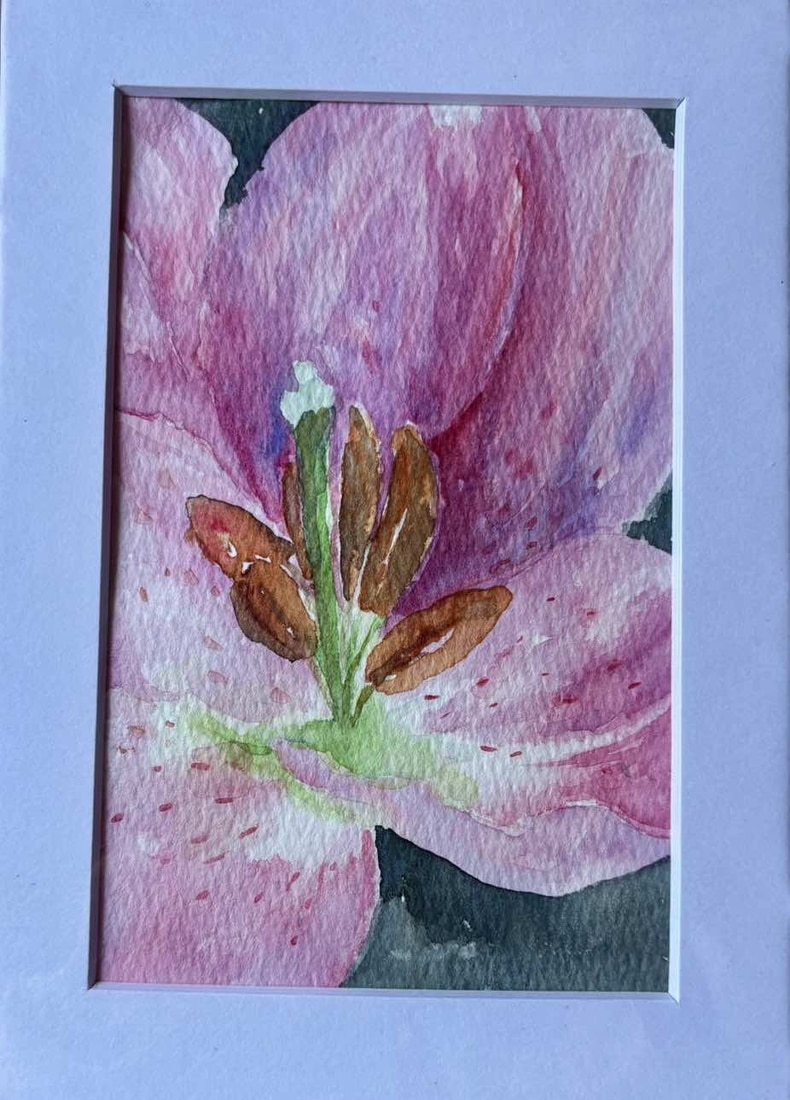 Original Pink Lily Watercolour Painting with Mount, Miniature 7” x 5”