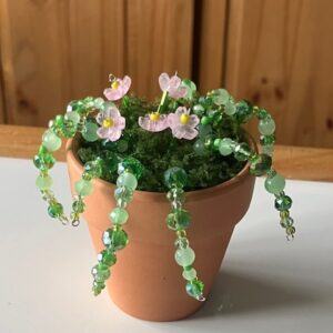 Beaded Plant with Pale Pink Flowers