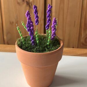 Beaded Lavender Plant