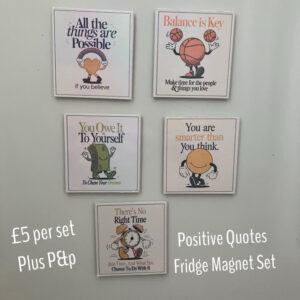 Set of 5 Positive Quotes Fridge Magnets