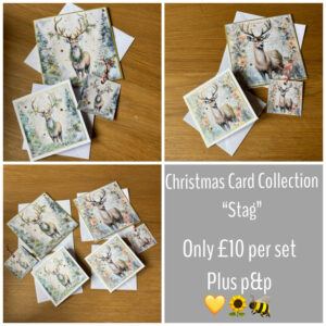 Christmas Card Collection “Stag”- set of assorted Christmas Cards and tags.