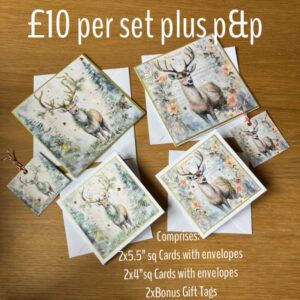 Christmas Card Collection “Stag”- set of assorted Christmas Cards and tags.