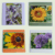 A set of photographic greetings cards . All proceeds to The Stroke Association