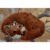 Curled Red Fox, Hanging Decoration