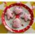 AVAILABLE TO PRE-ORDER, Set of 4 Iced Gingerbread Biscuits with Sprinkles, Christmas Tree Decorations