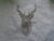 Unique Machine Embroidery Stag Design for Nature Lovers tote bag .cushion