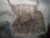 Charming Highland Cow Tote Bag or Cushion – Rustic Elegance for Your Home & Style a finished product