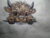 Stunning Highland Cow Art: Captivating Finished Piece