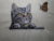 Charming Cat with Butterfly Tote Bag or Cushion – Perfect Gift for Animal Lovers