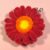 Daisy Mirror Keychain – Compact Mirror for Bags or Keys