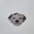 Charming Dalmatian Diamond Art Coaster – Gift Wrapped & Varnished
