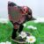 Handmade Fabric Bird Ornament – Black Floral Quilted Decoration with Khaki And Pink Accents for Unique Home Décor