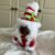 Mrs Clause- The Christmas Mightie Mini Gift Gonk Novelty Art Doll Ornamental Decoration