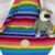 Handmade Crocheted Corner-to-Corner Baby and Toddler Blanket