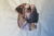 Majestic Great Dane Tote Bag, Cushion Cover, and Picture Collection