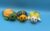 Customizable Turtle Keyring – UKCA Tested