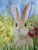 Hare Original