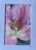Original Pink Lily Watercolour Painting with Mount, Miniature 7” x 5”