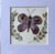 Whimsical Butterfly with Purple, Pink, and Gold Accents in 10cm Square Mount