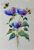 Handpainted A5 Watercolour Card with Blue & Purple Flowers