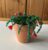 Red Bell Flower Beaded Plant