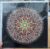 Mandala Blank Greeting Card Featuring Original Art by Emma Major