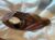 Wild Oleander Hooded Scarf in Autumnal Shades – Chunky Acrylic Yarn