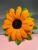 Extra Large Fuzzywire Sunflower with Woven Leaves – Home Decor or Bridal Bouquet