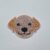 Handmade Labrador Diamond Art Coaster – Varnished & Gift Wrapped