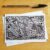 Mind Warp Zentangle Doodle Card – Blank Any Occasion Card Featuring Intricate Hand Drawn Abstract Design