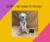 Mango the Meerkat Memory Softie – Handmade from Sentimental Clothing