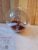 Needle felted dragonfly bauble – red highlights with copper flower