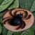 Quilled Black Spider – hanging decoration