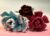Single Stem Type B Rose