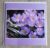 Greetings card. ‘Spring crocus’. All proceeds to The Stroke Association