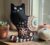 Made to order. Black cat decoration. Hand embroidered with vintage, crocheted lace fabric.Filled with lavender. All proceeds to The Stroke Association