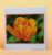 Greetings card, orange tulip. All proceeds to The Stroke Association.