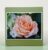 Greetings card.Peach rose.All proceeds to The Stroke Association.