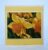 Greetings card. Daffodil. All proceeds to The Stroke Association.