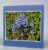 Greetings card. Bluebell.All proceeds to The Stroke Association.