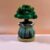Mini Money Tree in Ceramic Pot with Bamboo Base