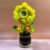 Mini Sunflower and Daisy Arrangement in Ceramic Pot with Bamboo Base