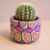 Handmade Rainbow Polymer Clay Cactus Pot with Live Cactus – Colourful Handmade Plant Pot for Desk Decor, Small Spaces and Moments of Joy Gift Sets