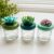 Handmade Succulent Trinket Pot – Polymer Clay Keepsake Jar with Positivity Scroll – Recycled Glass Gift – Jewellery & Tiny Treasure Pot