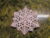 Exquisite Lace Machine Embroidery Snowflake Pattern
