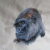 Elegant Silverback Gorilla Tote Bag or Cushion Cover