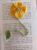 Handmade Crochet Flower Bookmark – various colours available
