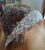 Versatile Reversible Sun Hats for Kids – 100% Cotton, Age 5-6